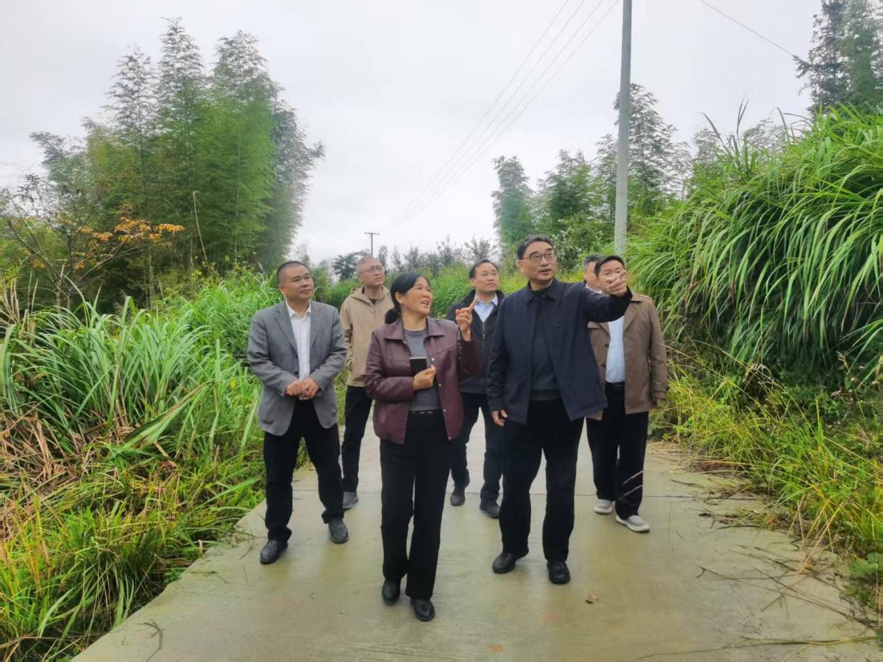 圖片1jjj 圖片1jjj